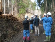 栃木県森林組合連合会　木材流通課