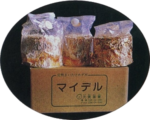 マイデル