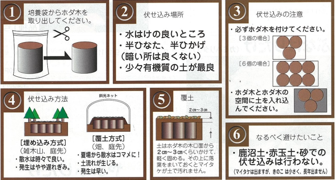 マイデル
